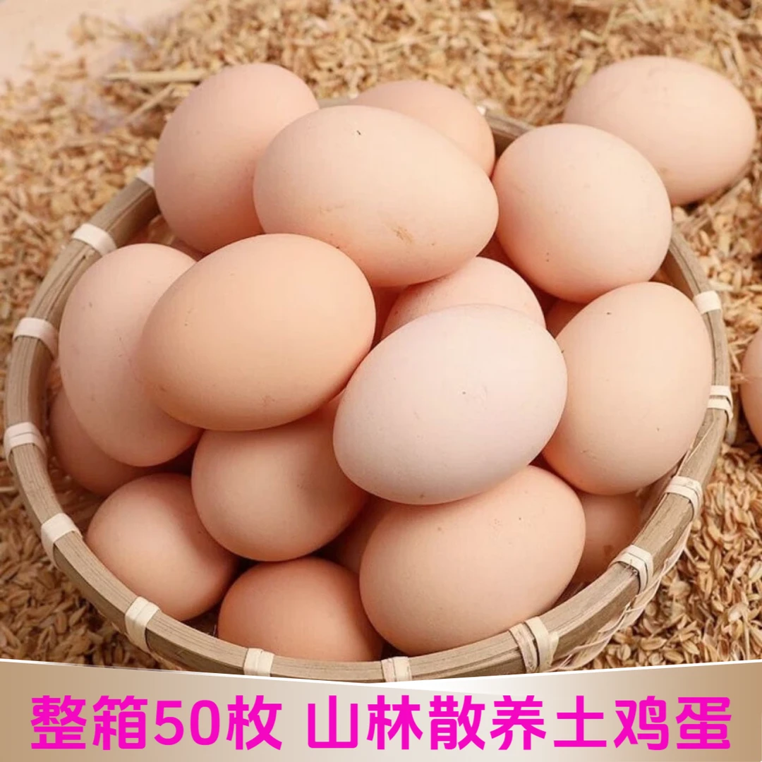 【整箱50枚】皖南山林散养土鸡蛋 新鲜农家草鸡蛋 甄选40-50g/枚