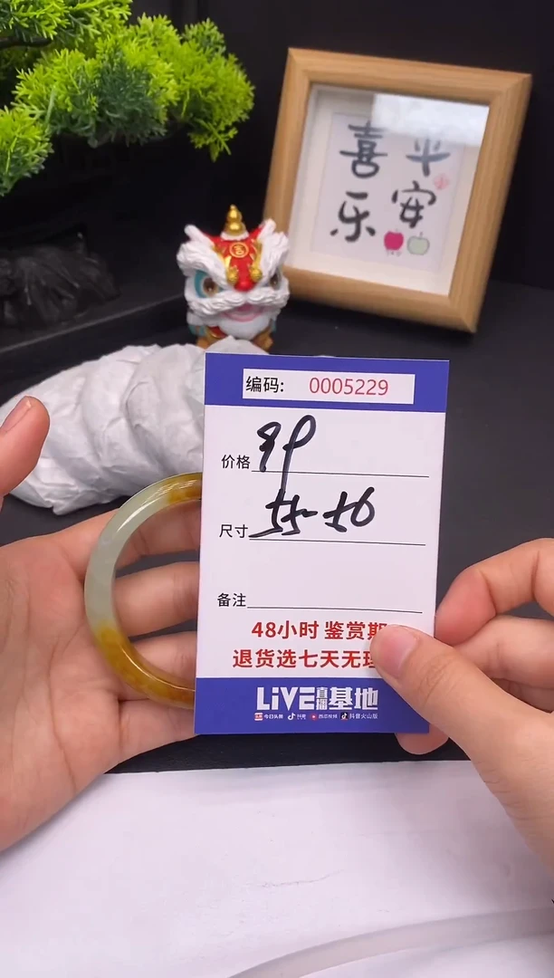 未镶嵌手镯翡翠0005229