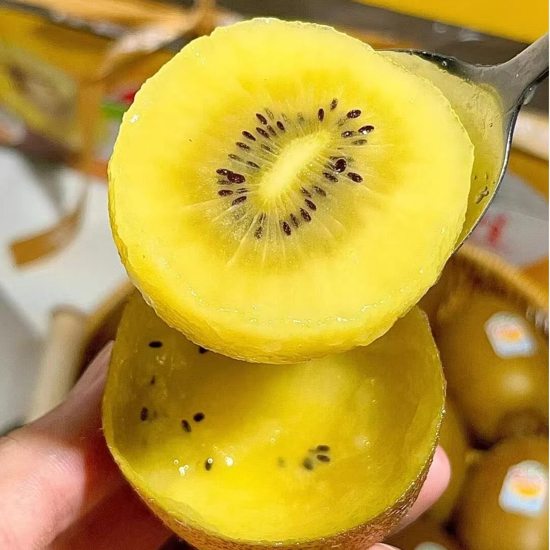 【放软吃-金奇异果】尹书记黄金奇异果当季新鲜猕猴桃水果15-30粒