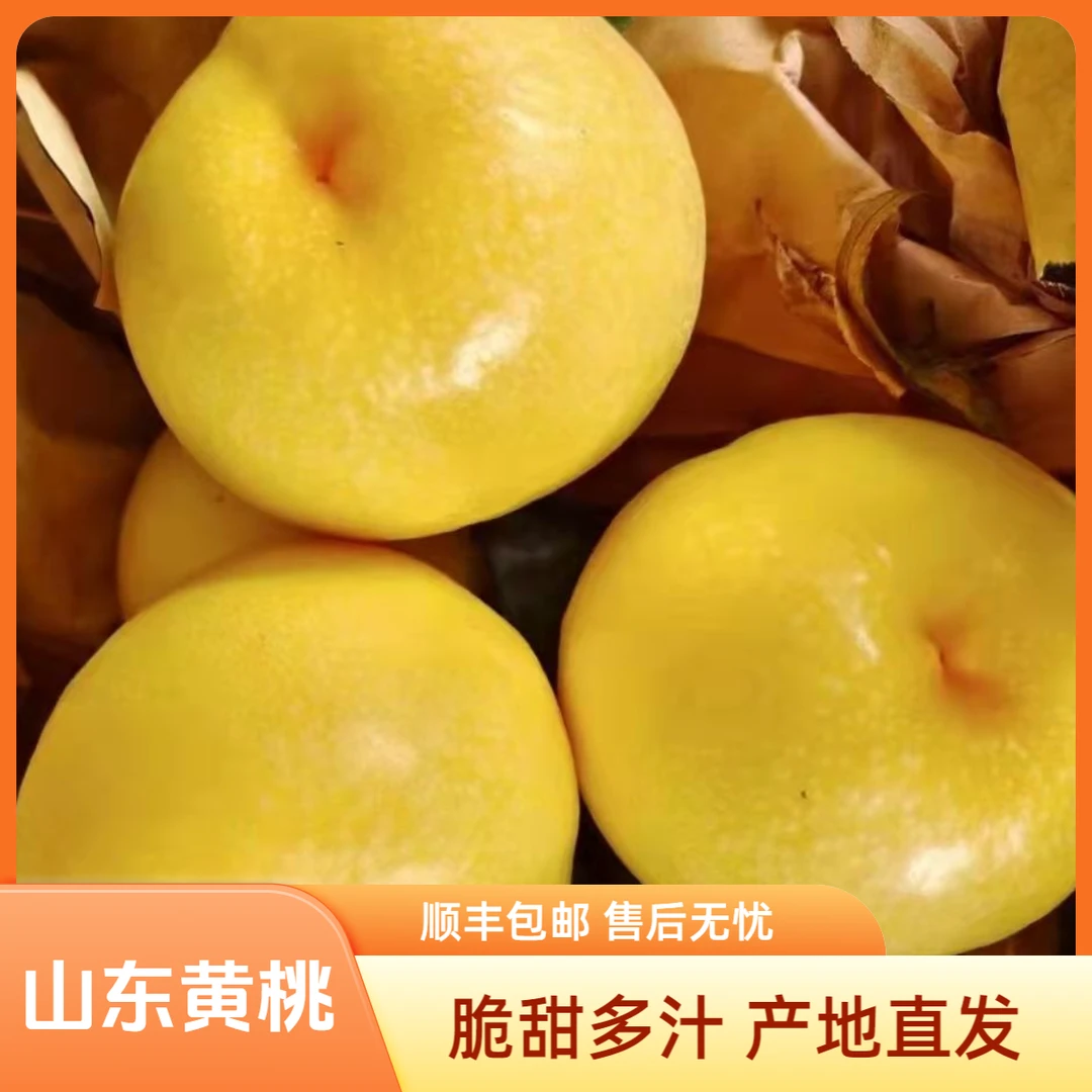 【顺丰包邮】正宗山东蒙阴黄油桃软硬两吃脆甜软糯水果应季黄桃鲜果