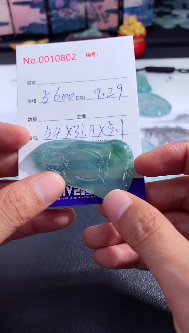 颈饰未镶嵌翡翠素衣