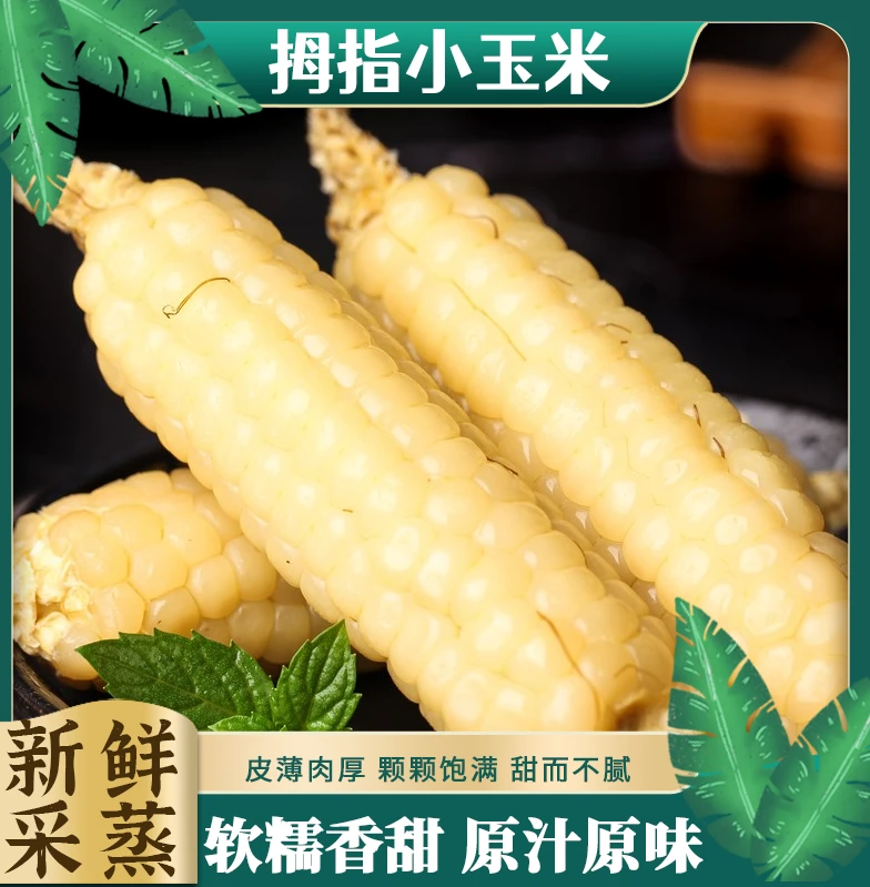 拇指小玉米粒粒饱满微波炉加热食玉米香浓郁早饭茶点饱腹