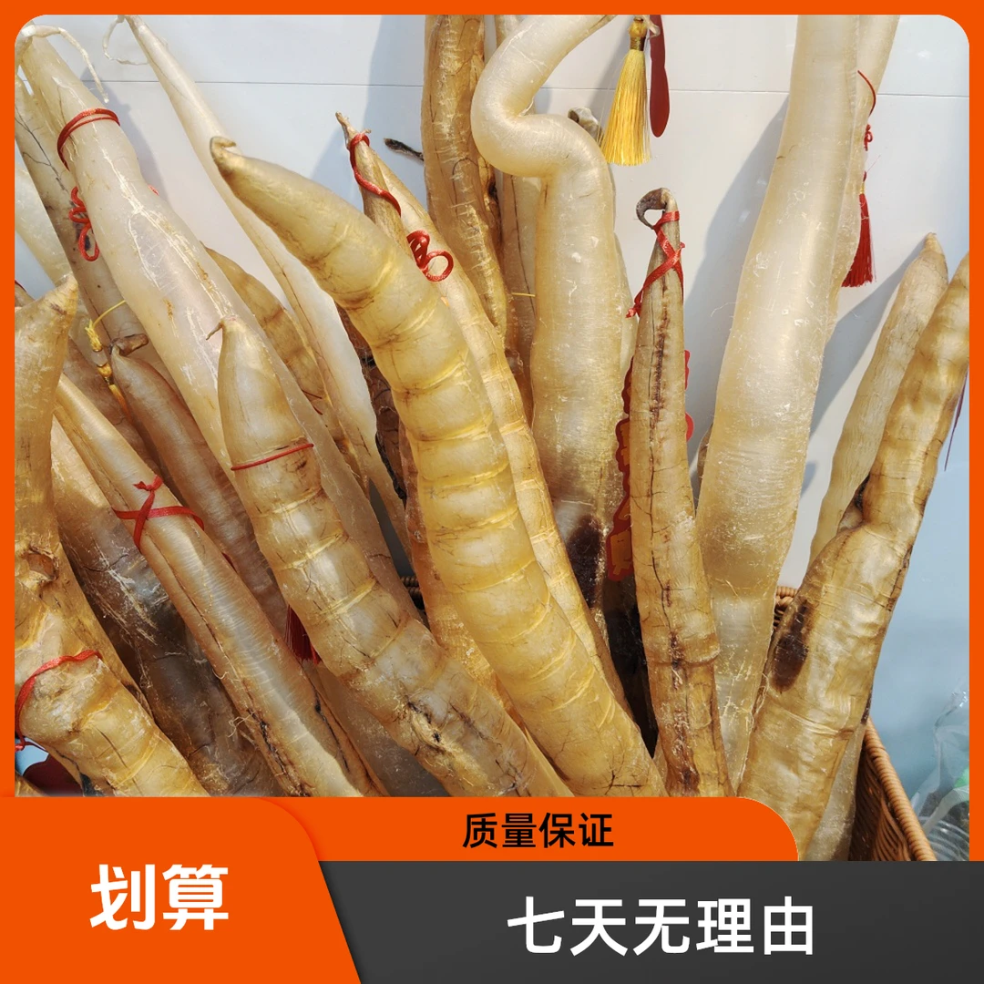 晓德鱼胶食用花胶代拍链接（具体克重按直播现场称重为准）