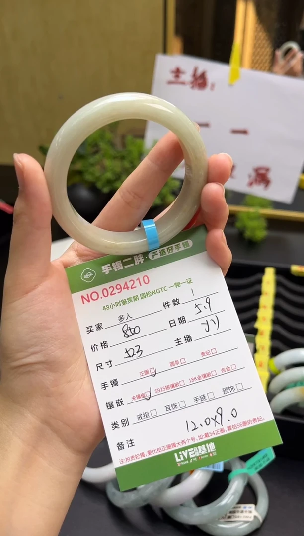 翡翠手镯未镶嵌多人