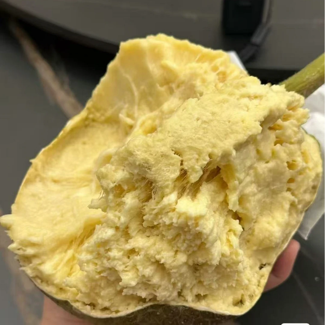 【顺丰包邮】新鲜现摘海南面包果网红热带稀有当季水果