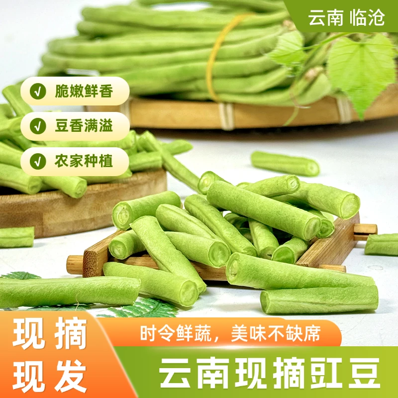 云南新鲜现摘豇豆可做泡菜新鲜蔬菜