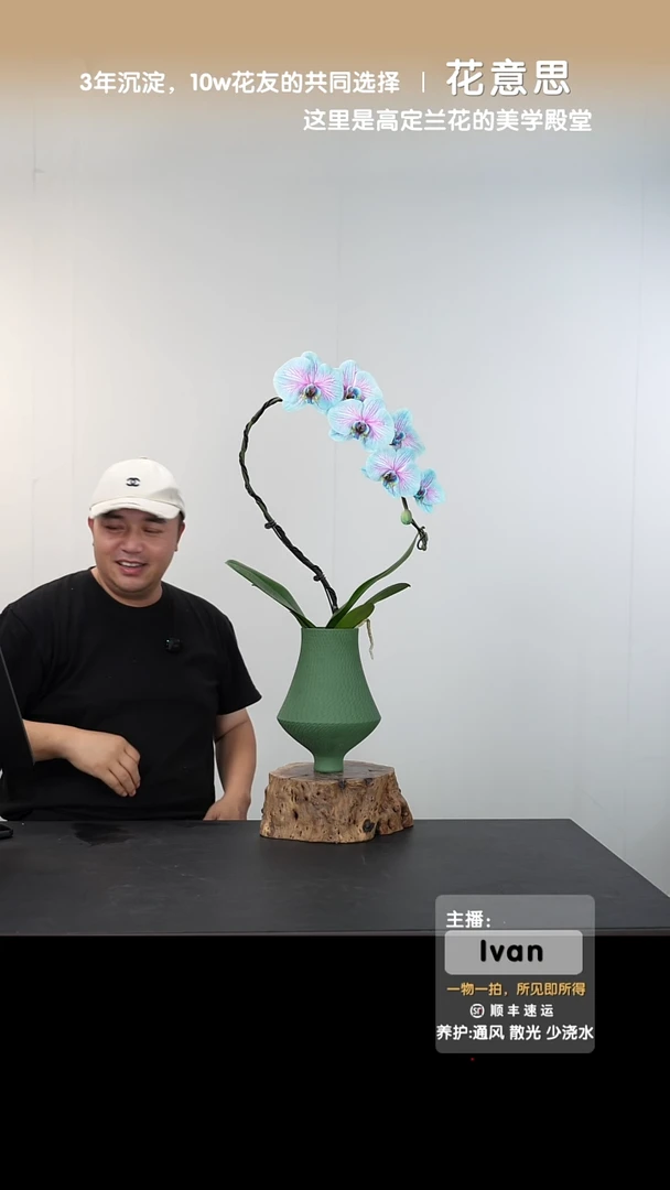 全部花朵003号链接【一物一拍】艺术盆景