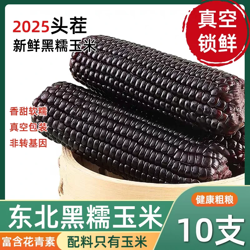 【F】东北新鲜甜糯黑玉米（220g-300g）营养食用真空包装香糯甄选