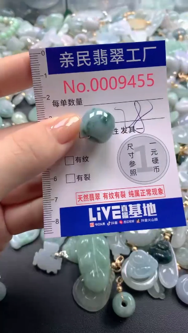 颈饰未镶嵌翡翠9455