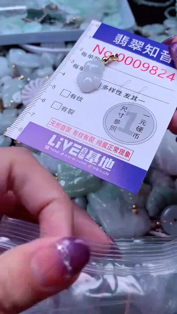 翡翠未镶嵌吊坠(不含链)9824