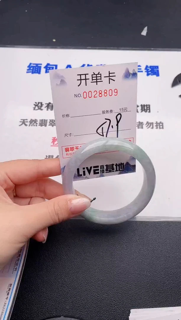 未镶嵌手镯翡翠09
