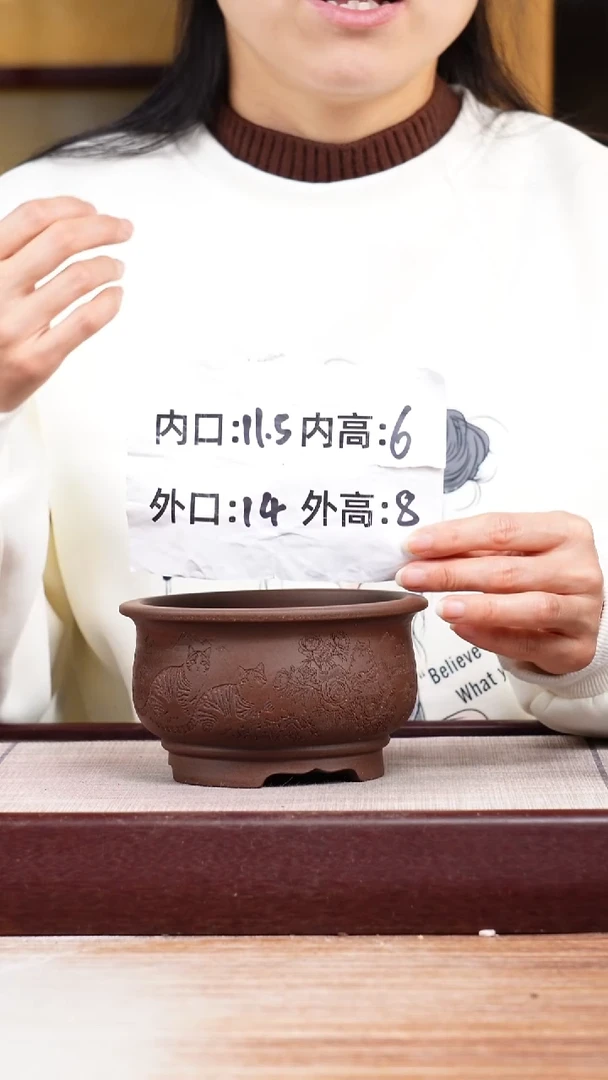 紫砂花盆紫泥刻绘猫咪迷你矮圆盆一只无托