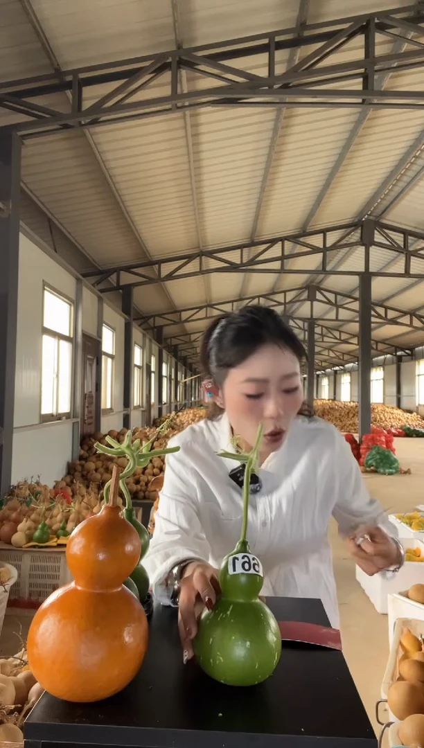 661天然葫芦摆件 一物一拍龙头不保售后
