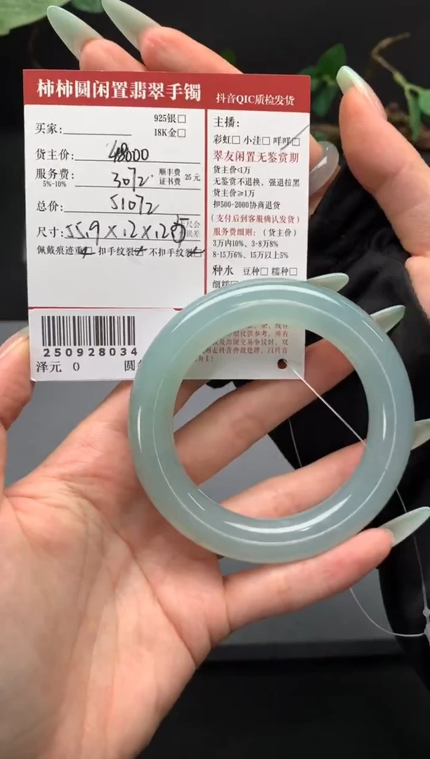 未镶嵌手镯翡翠姐姐250928034