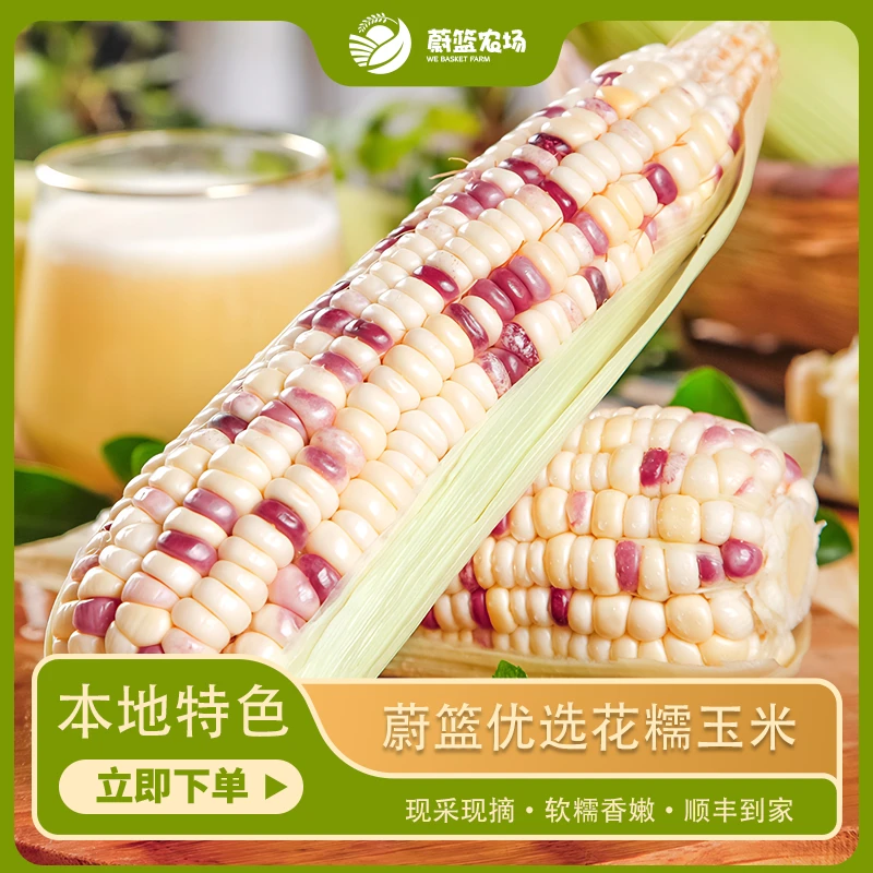 【蔚篮优选】蔚篮优选新鲜花糯玉米口感甜糯新鲜发货次日达花糯玉米云南省云南省昆明市