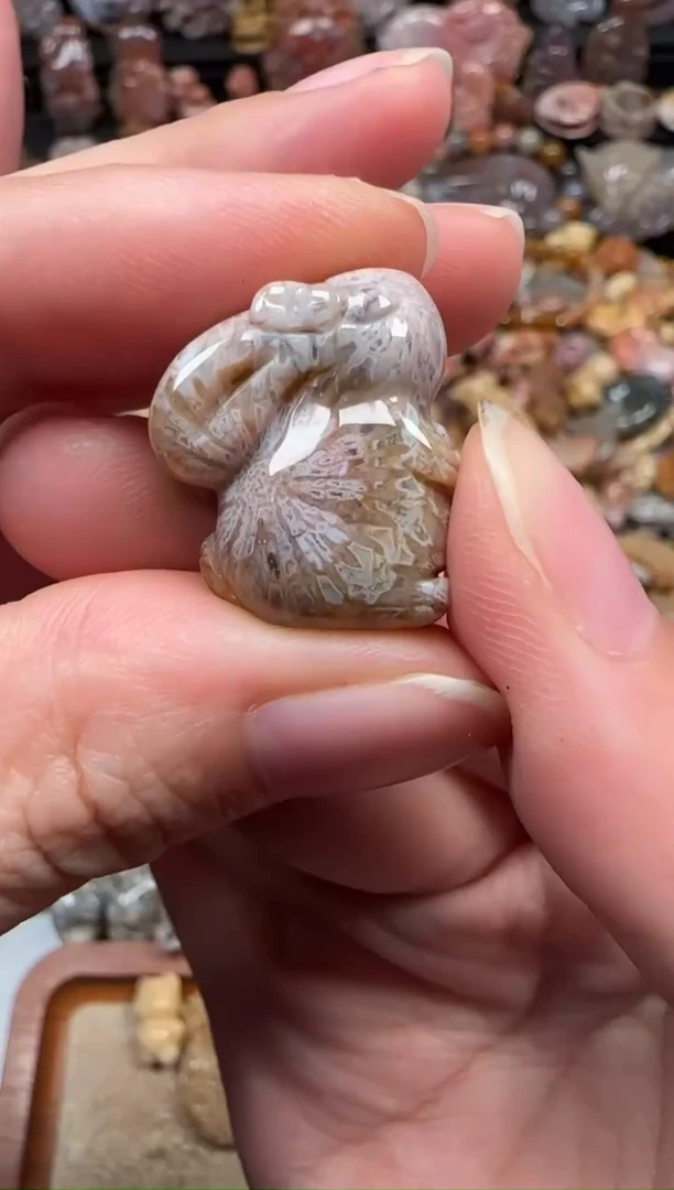 颈饰未镶嵌硅化珊瑚（珊瑚玉）651