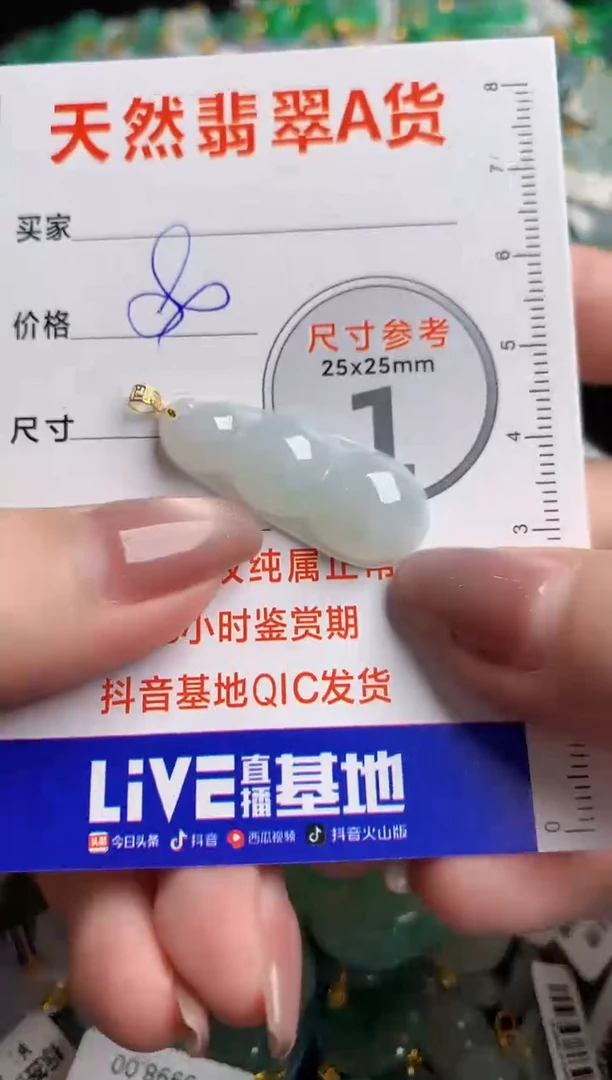 翡翠18K金镶嵌颈饰24000964