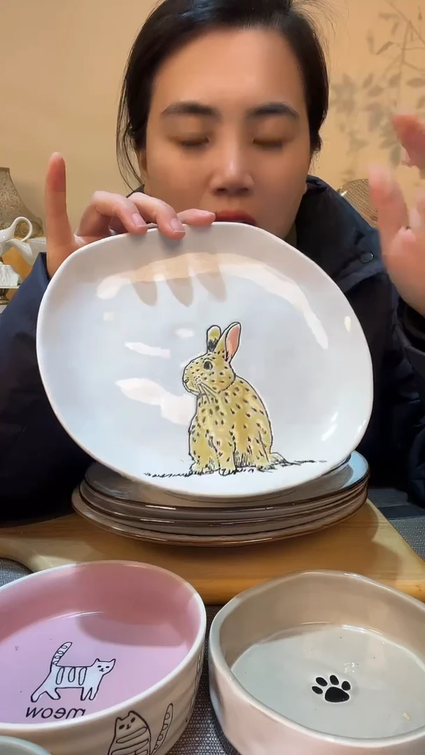 【闪购商品】瓷片瑕疵针眼染色 8.5英寸盘 介意勿拍