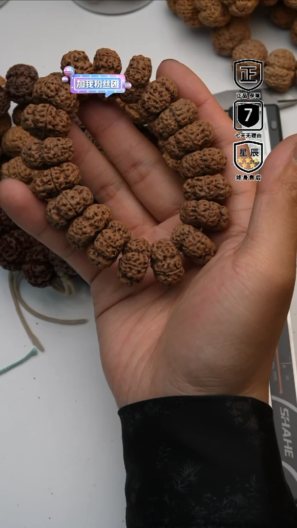 【闪购商品】金刚菩提吊坠5799999999