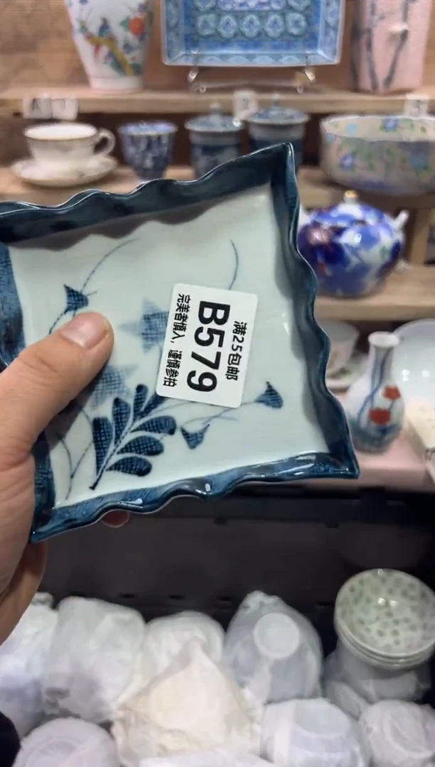 瓷片陶**料              B579