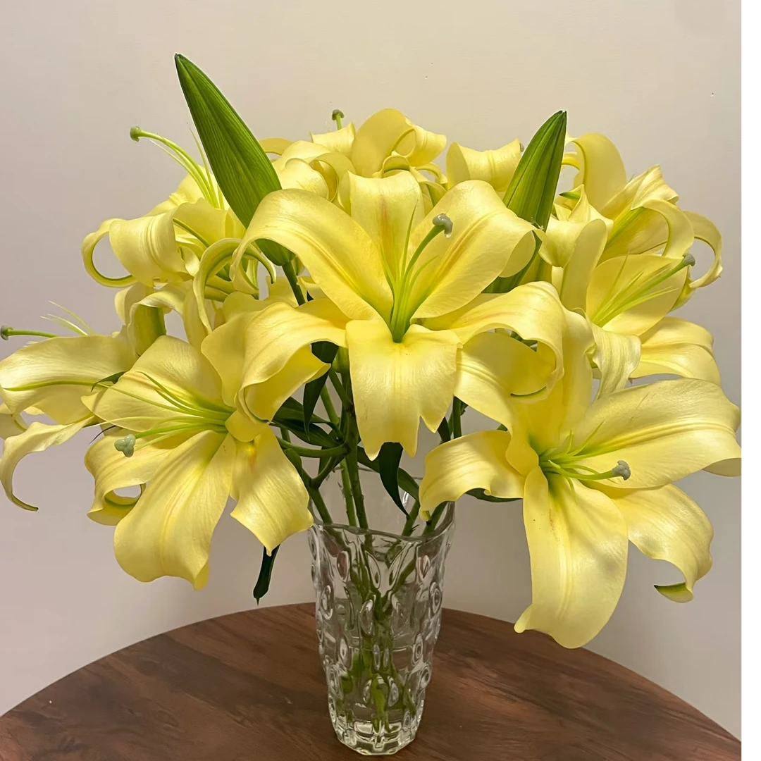 小皇帝 黄色香水百合 一头5支5朵   花店摆地摊