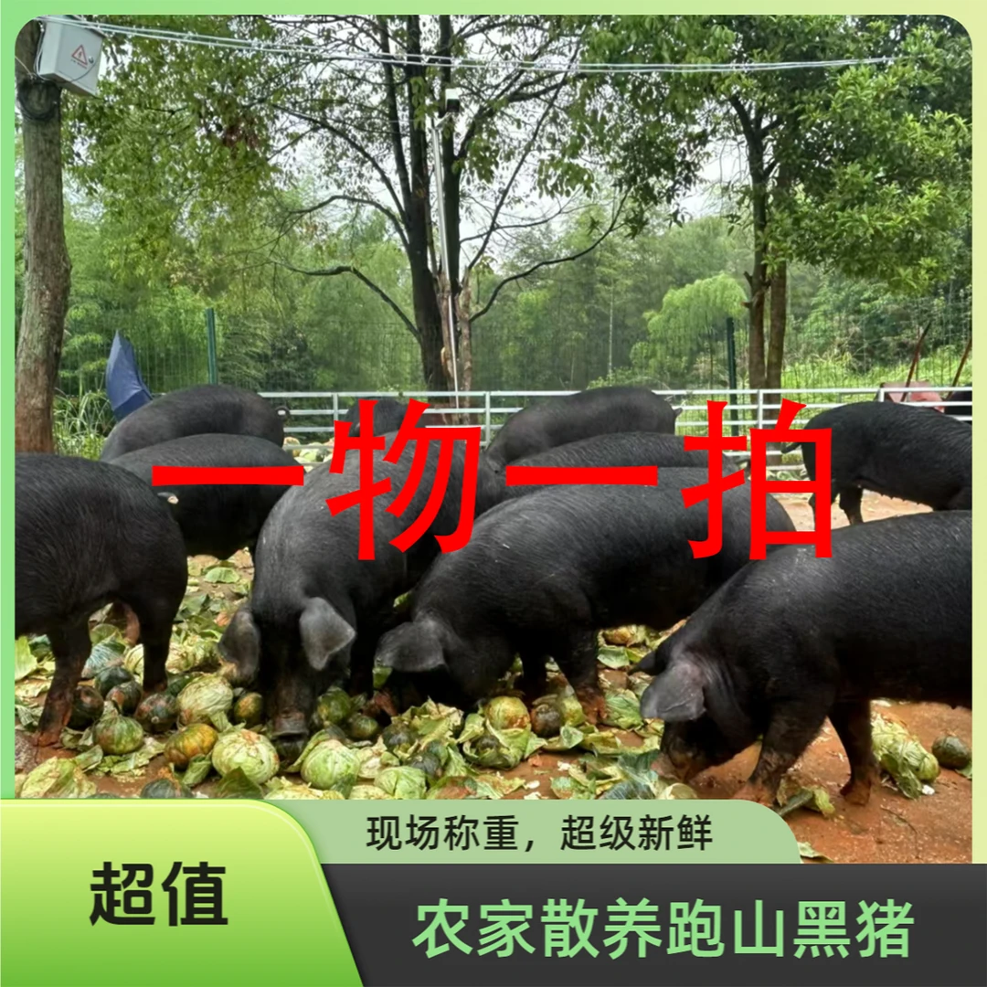 ①【顺丰包邮】【一物一拍】散养跑山猪