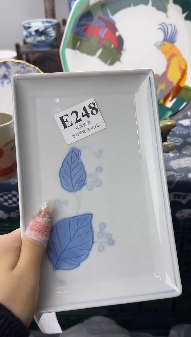 瓷片儿**?   E248