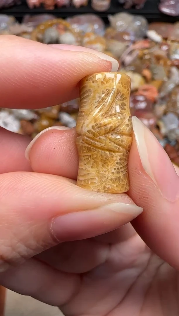 硅化珊瑚（珊瑚玉）未镶嵌颈饰736