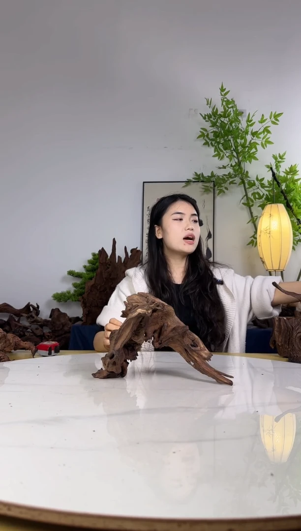 赵拍沉木定向链接编号77