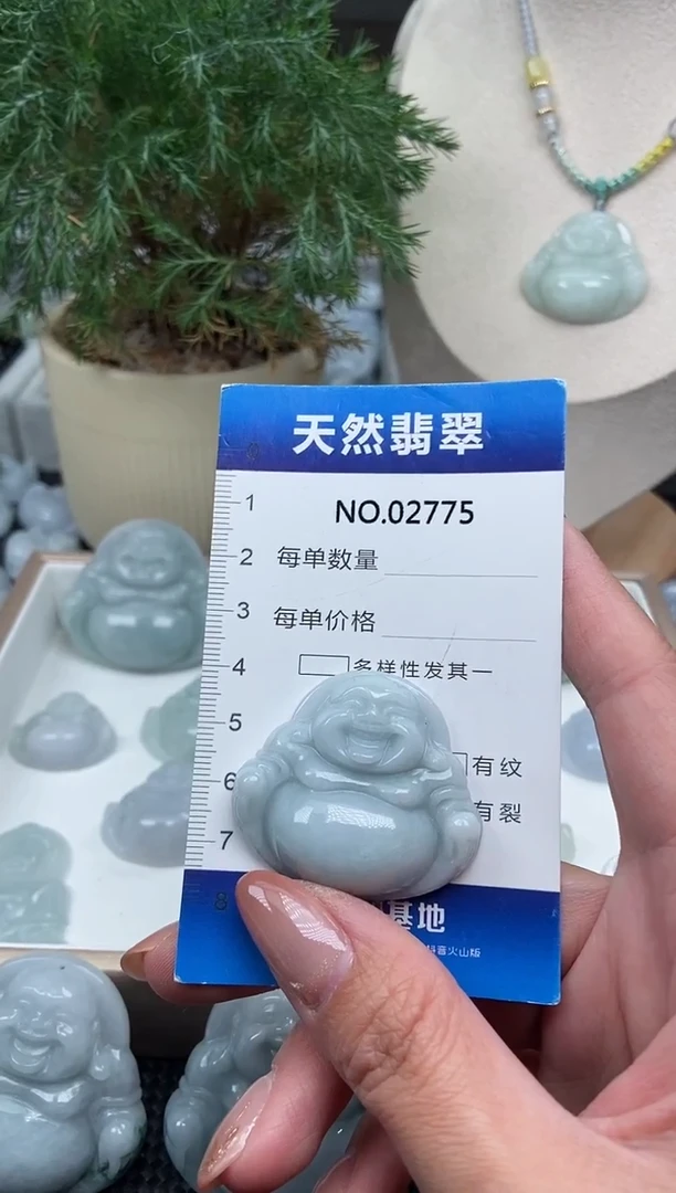 颈饰未镶嵌翡翠纯天然A货翡翠2775