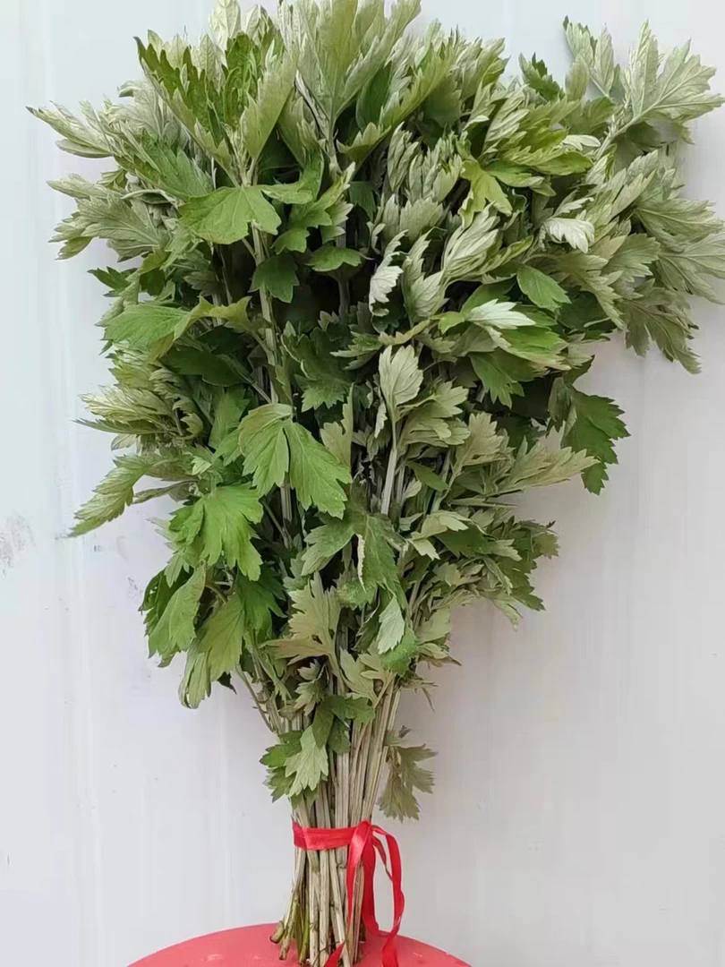 绿植艾草摆放新鲜整颗全株端午节挂门窗家用驱蚊