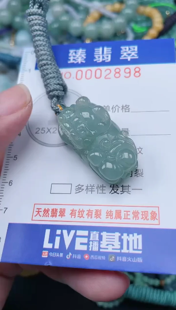 翡翠未镶嵌颈饰.0002898