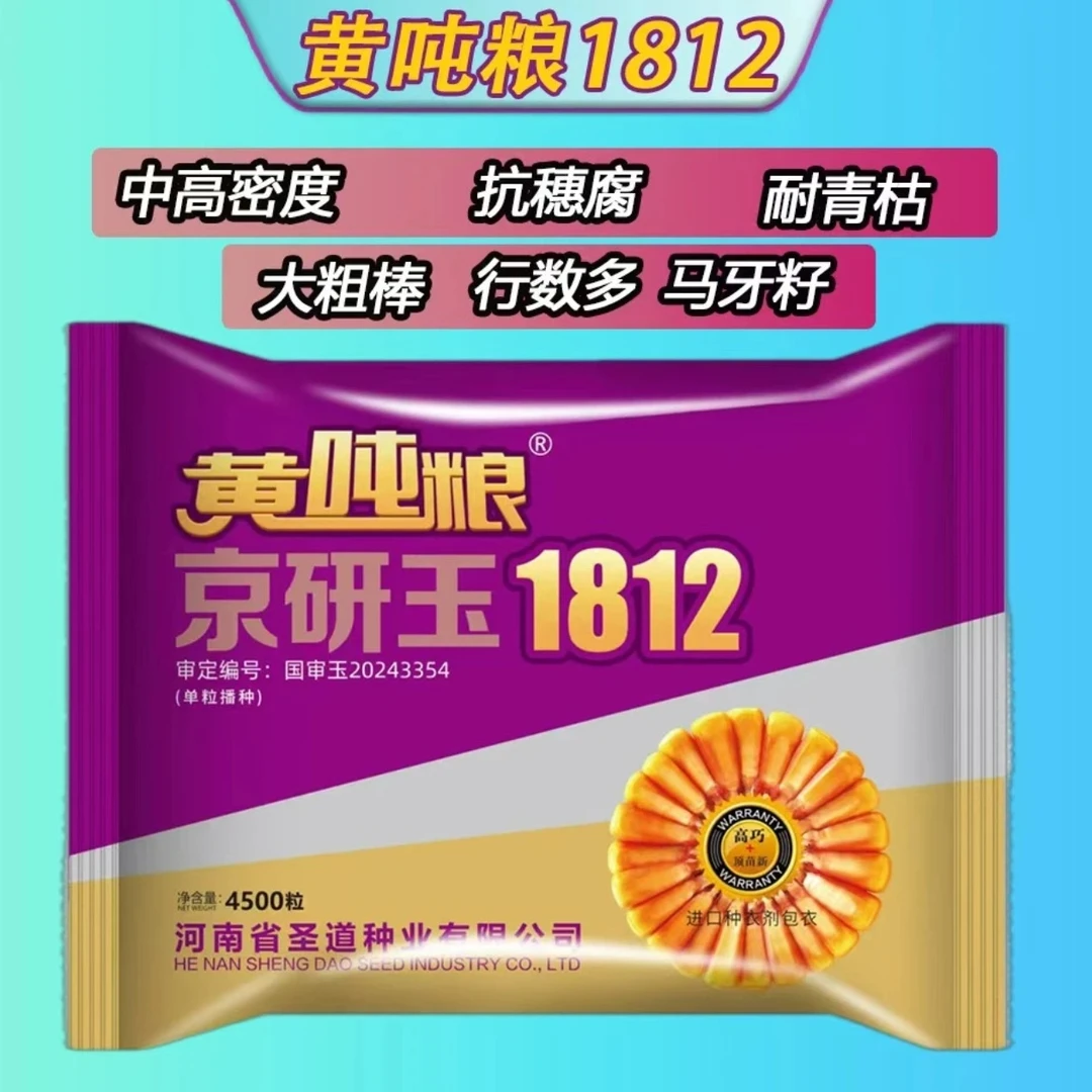 黄吨粮京研玉1812红轴大棒长马籽 抗倒抗病好 京研玉1812玉米种子