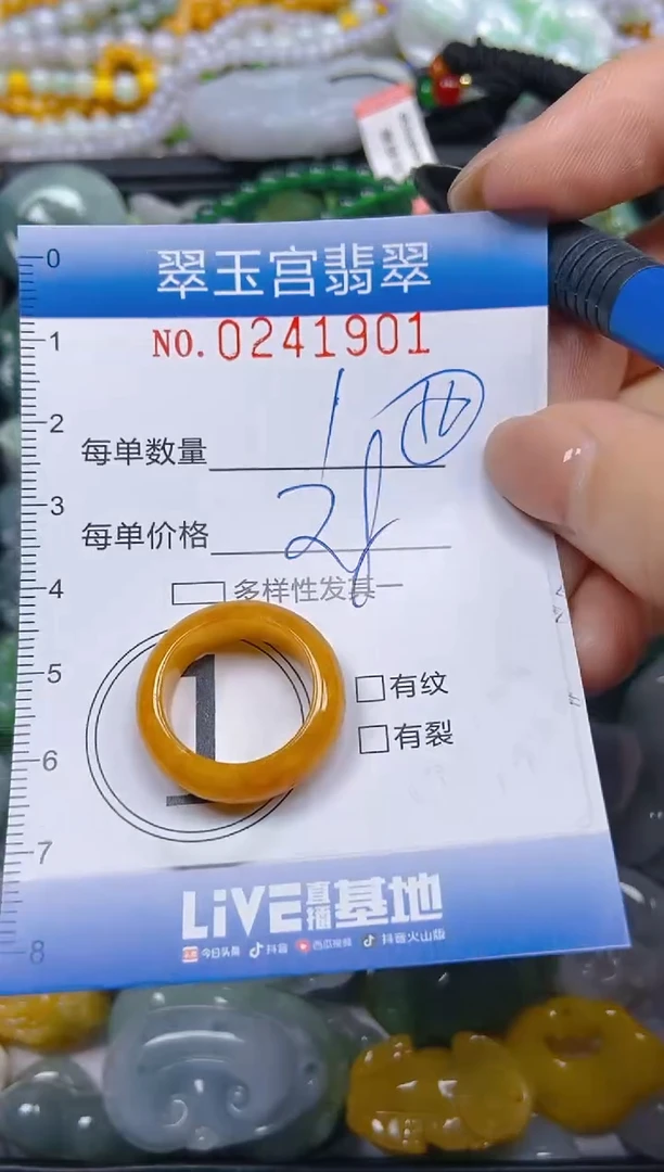 颈饰未镶嵌翡翠闪购C0241901