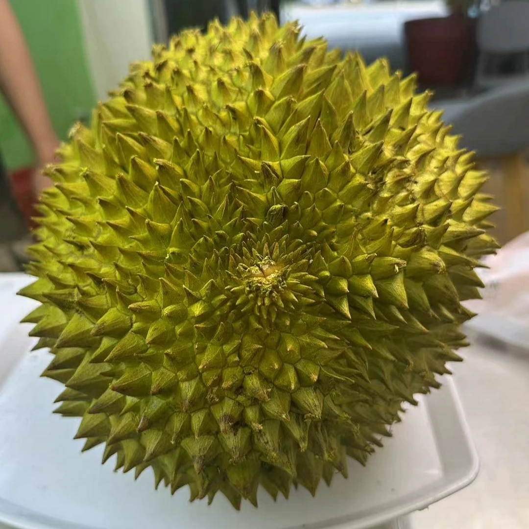 金枕新鲜榴莲 果核小核金枕  一物一拍 500g（部分中核）金枕越南