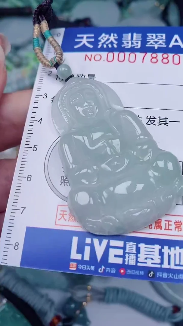 翡翠未镶嵌颈饰00007880