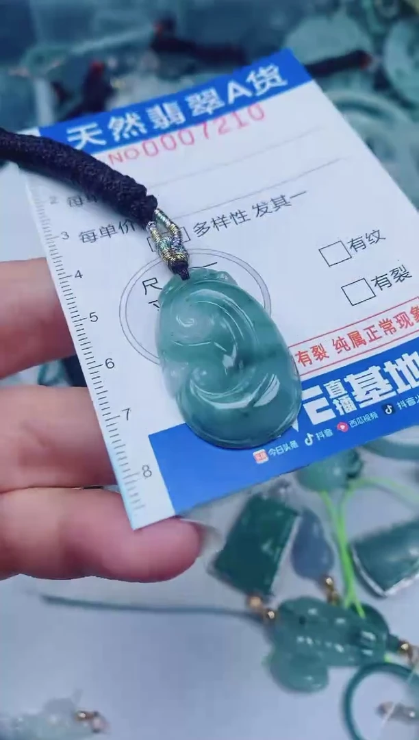 颈饰未镶嵌翡翠00007210