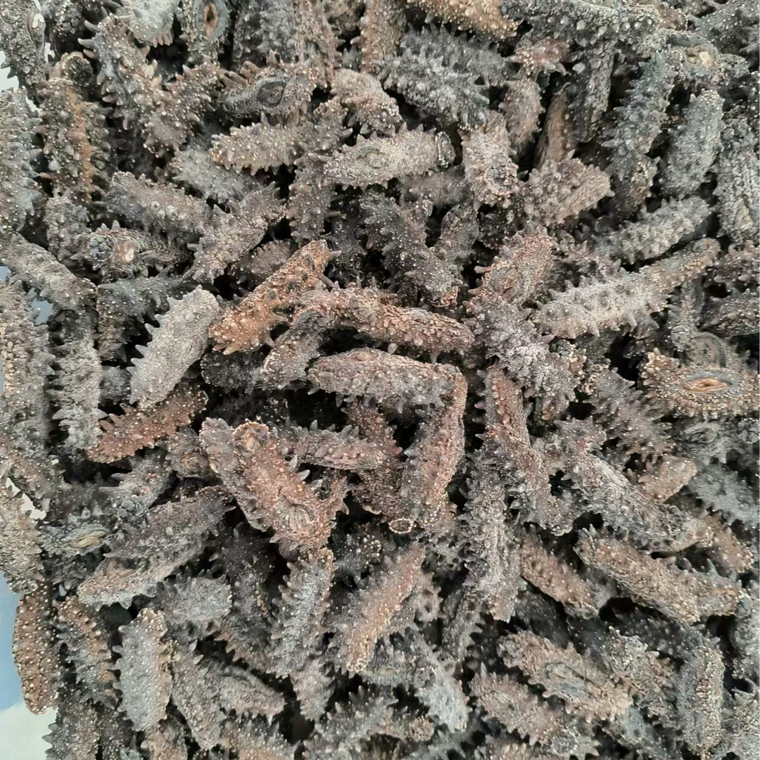 俄罗斯进口纯淡干海参原货150头足干二红参高泡发15-18倍