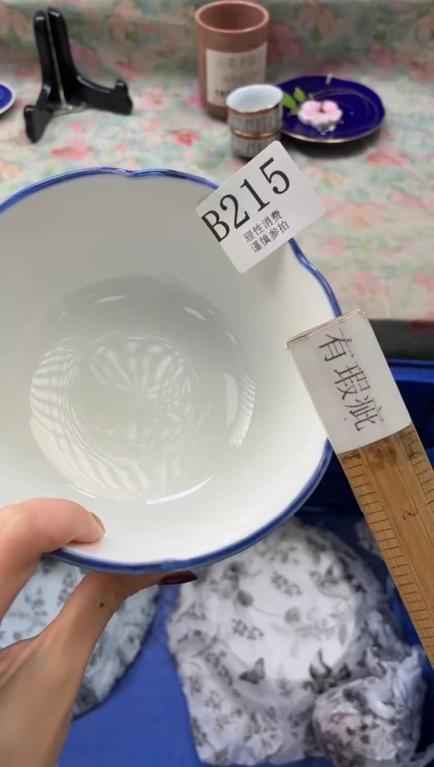 瓷片✔       B215