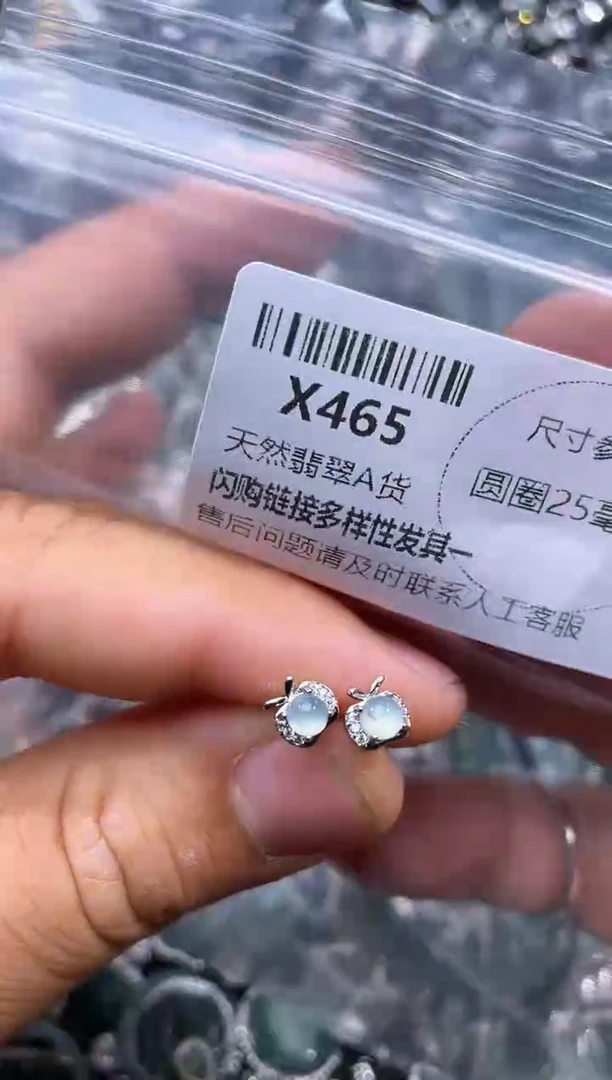 【闪购商品】翡翠颈饰未镶嵌X465耳钉