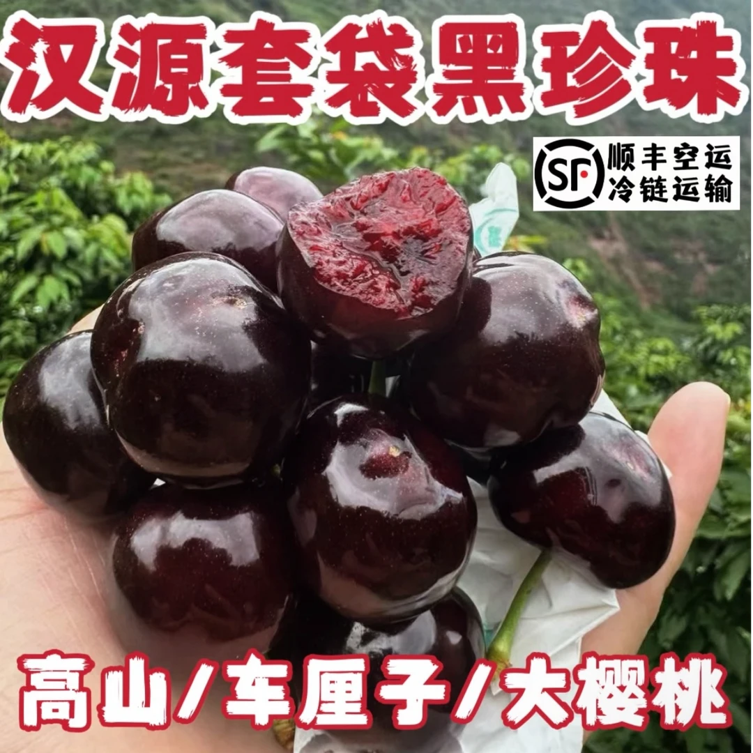 省内【顺丰包邮】汉源高山农家自然成熟套袋黑珍珠·车厘子、现摘现发
