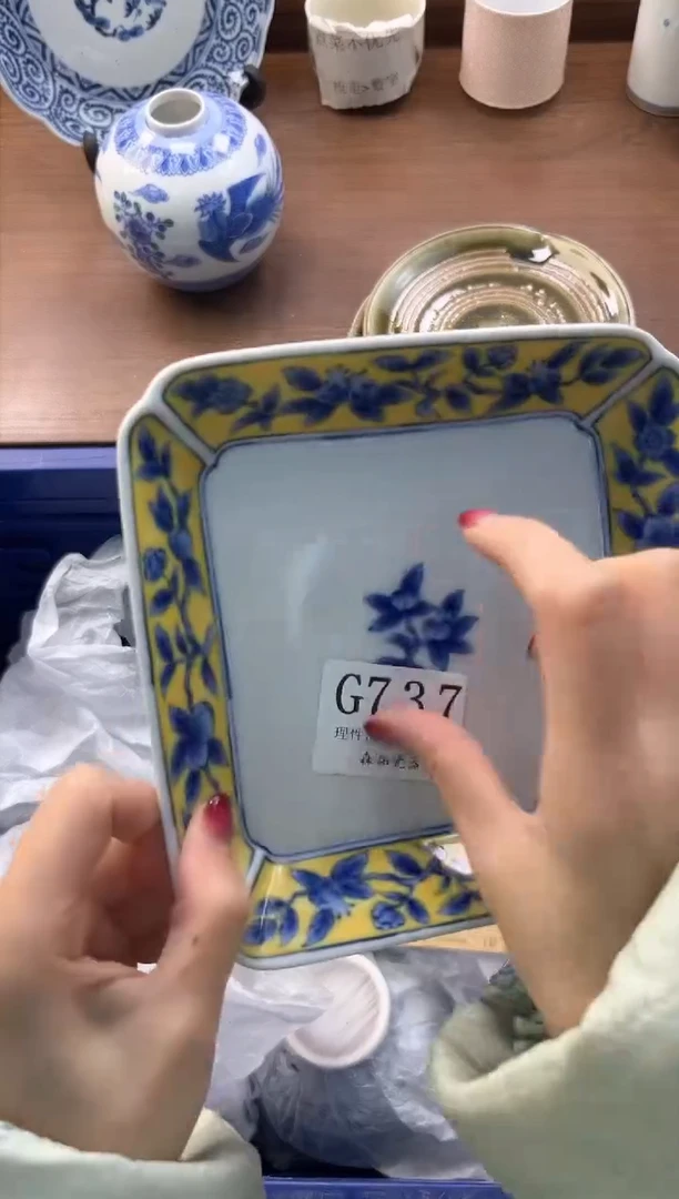 【闪购商品】瓷片----------G737