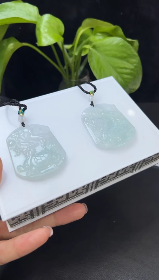 【闪购商品】翡翠颈饰未镶嵌499-CZCM1192多样性发一件