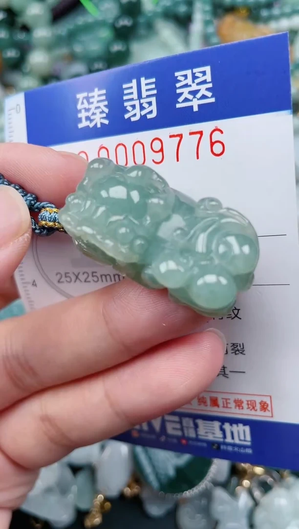 翡翠未镶嵌颈饰.0009776