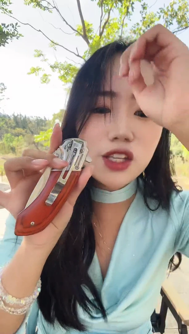 木柄快折   KL254