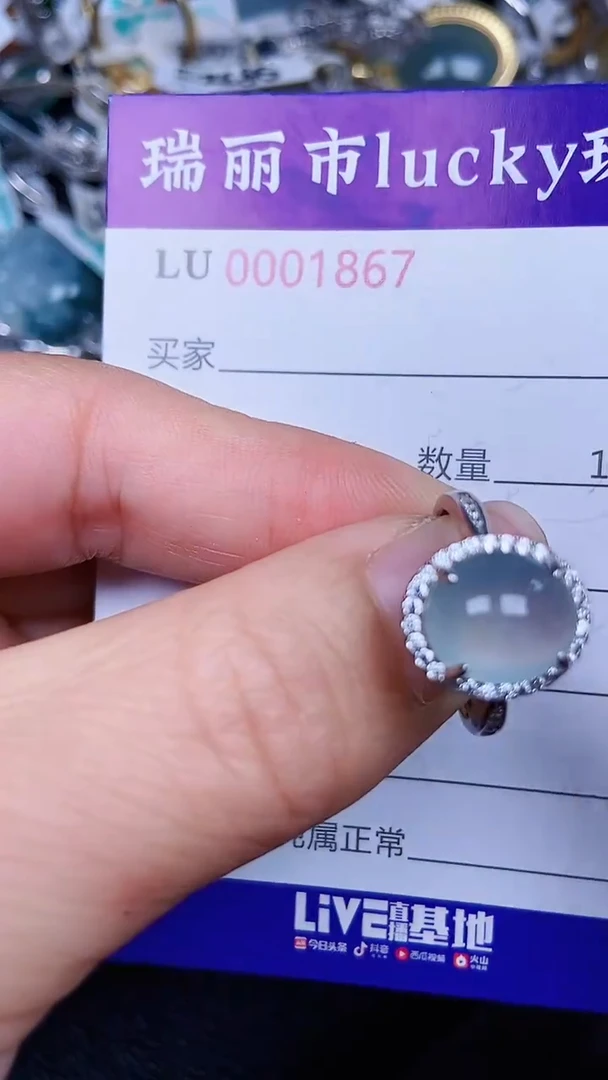 颈饰银S925镶嵌翡翠1867