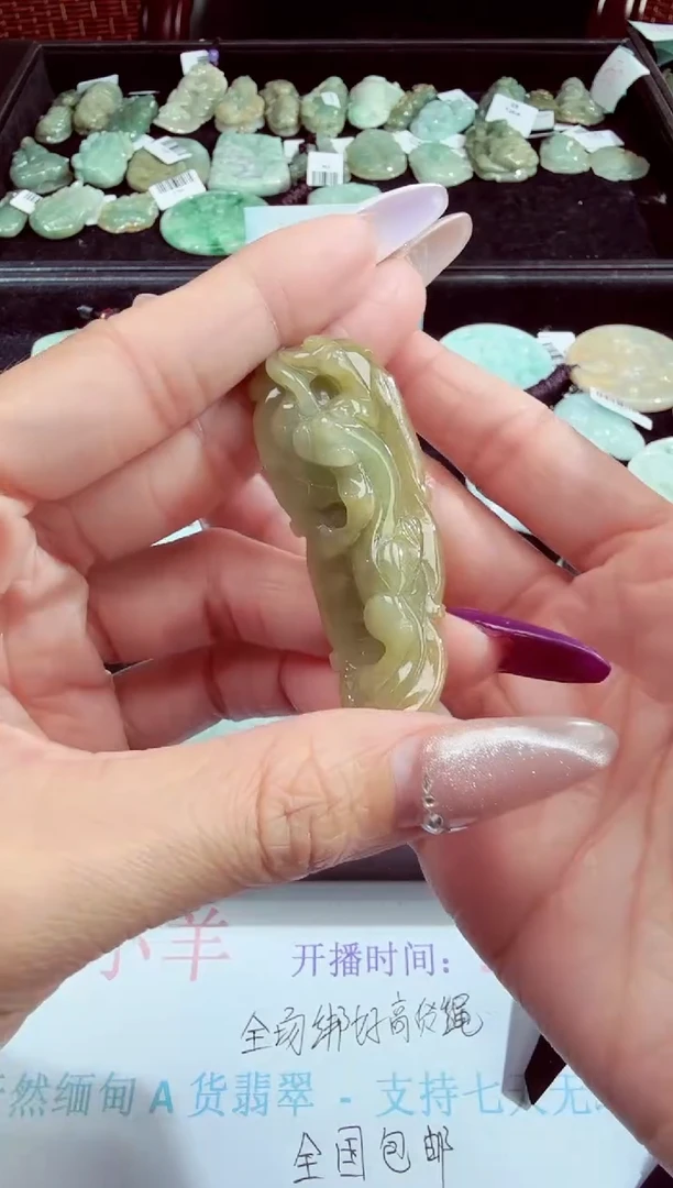 翡翠未镶嵌吊坠(不含链)貔貅-114