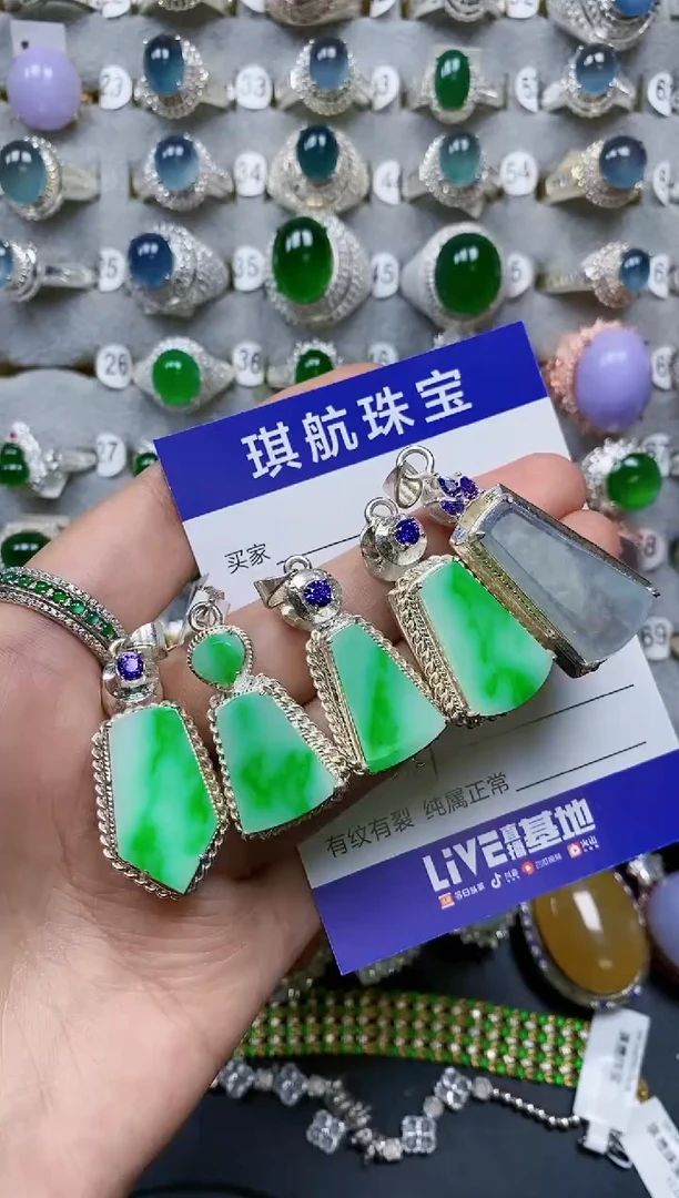 【闪购商品】翡翠颈饰未镶嵌00000489