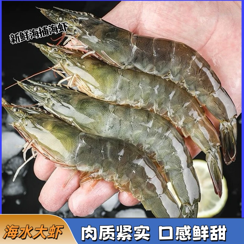特大号海洋大虾 新鲜活虾锁冻到手5斤 12-15只左右/斤 冷链发货an