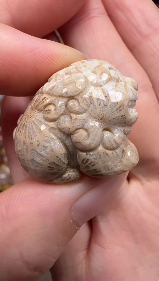 硅化珊瑚（珊瑚玉）未镶嵌颈饰667